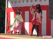 第24回高岡つつじまつり_イメージ03