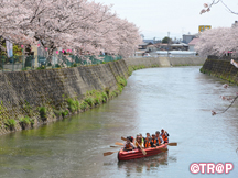 第５回千保川・さくら・クルーズ_イメージ02