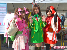 SEIKAサブカルフェスタ2017_イメージ01